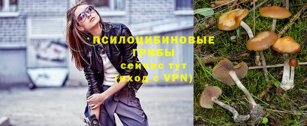 гашик Кинешма