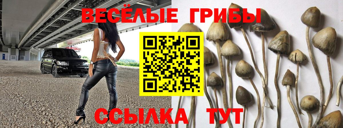 Галлюциногенные грибы MAGIC MUSHROOMS  Псилоцибиновые грибы Cubensis  Вход с VPN  Нерюнгри 