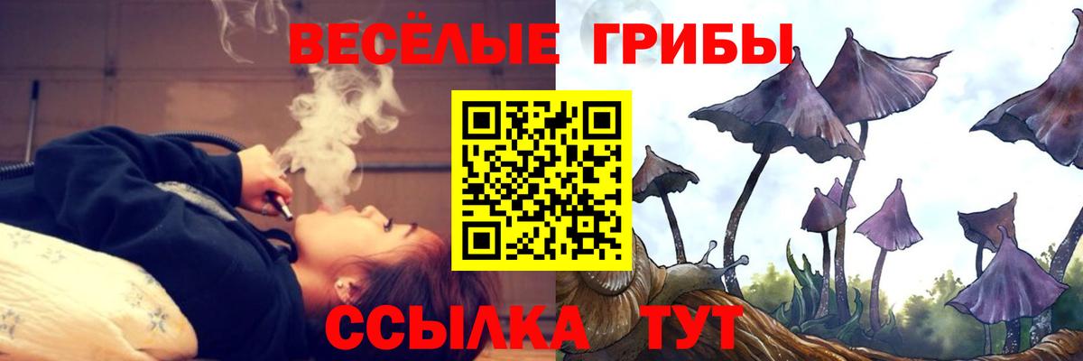 Псилоцибиновые грибы Psilocybine cubensis Нерюнгри
